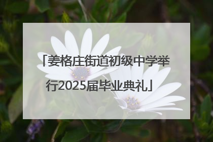姜格庄街道初级中学举行2025届毕业典礼
